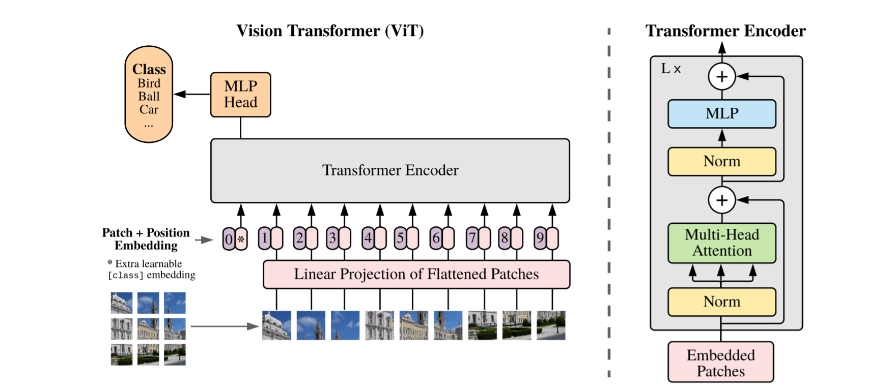 Vision Transformer Architecture